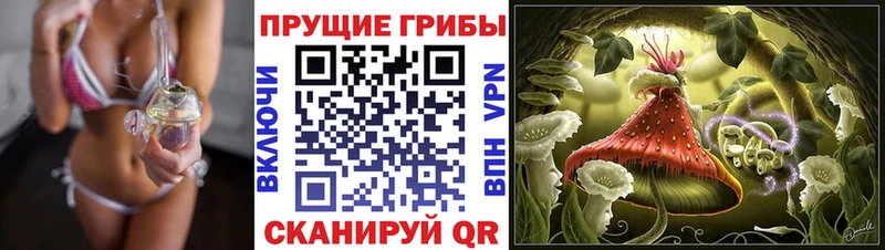 Псилоцибиновые грибы Psilocybe  Каспийск 