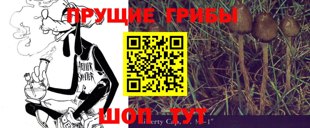 Псилоцибиновые грибы MAGIC MUSHROOMS  Каспийск 