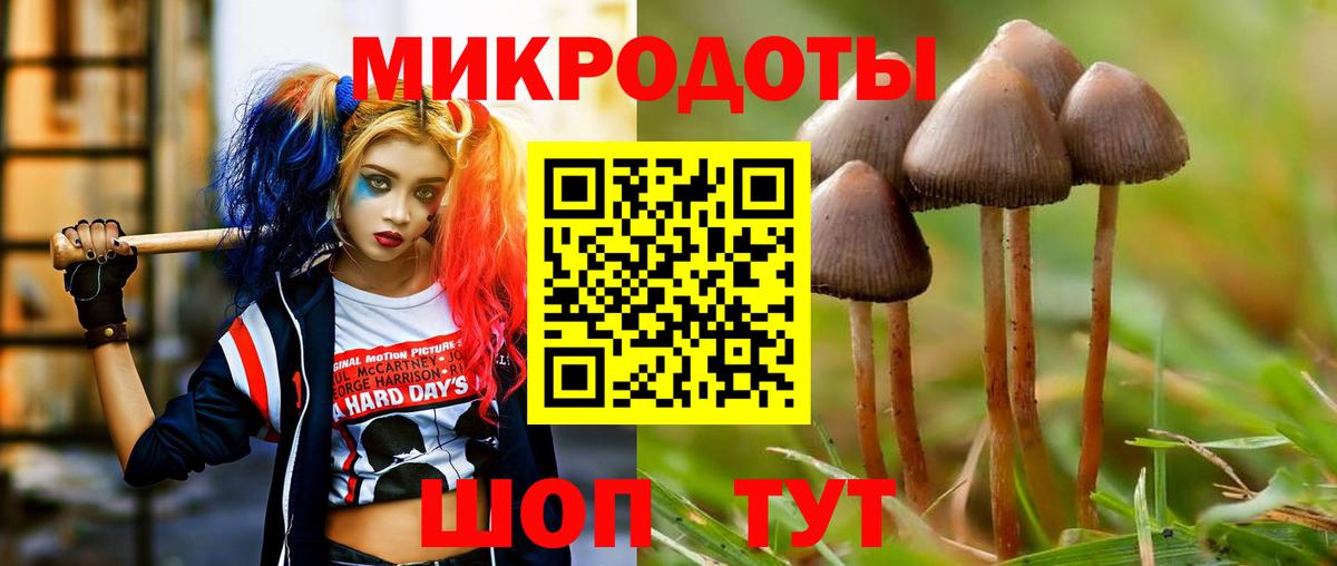 Каспийск  Псилоцибиновые грибы мухоморы  Вход с VPN 